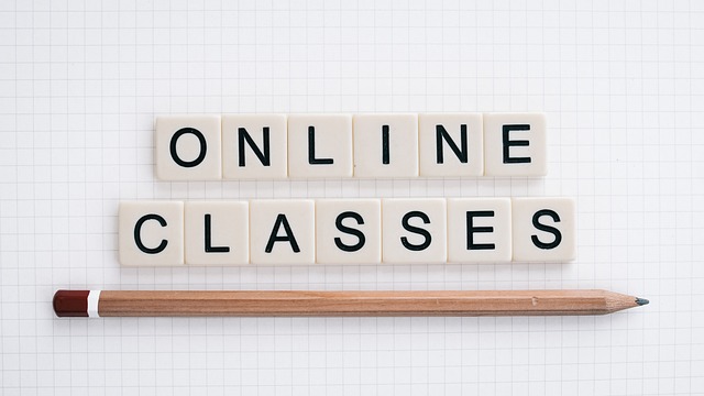 online class economics